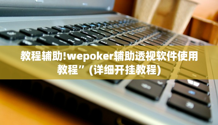 教程辅助!wepoker辅助透视软件使用教程”(详细开挂教程)