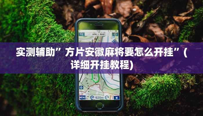 实测辅助”方片安徽麻将要怎么开挂”(详细开挂教程)