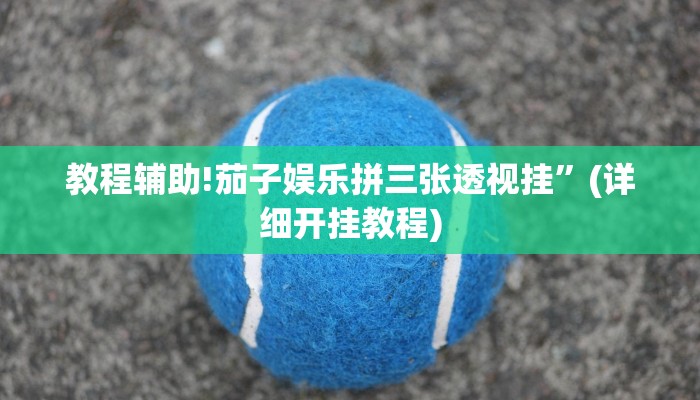 教程辅助!茄子娱乐拼三张透视挂”(详细开挂教程)