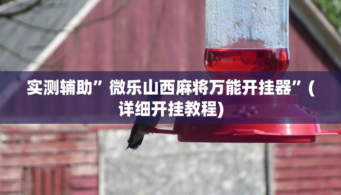 实测辅助”微乐河南麻将开挂神器”(详细开挂教程)