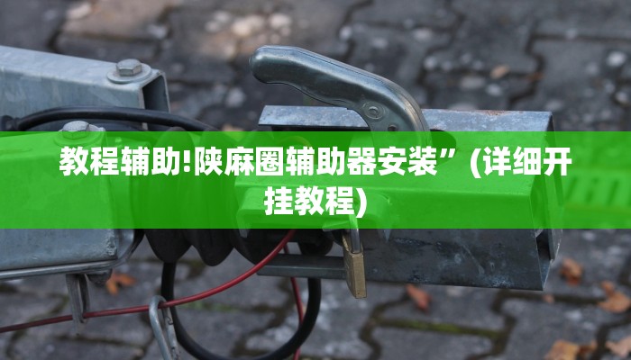 教程辅助!陕麻圈辅助器安装”(详细开挂教程)