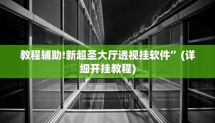 教程辅助!新超圣大厅透视挂软件”(详细开挂教程)