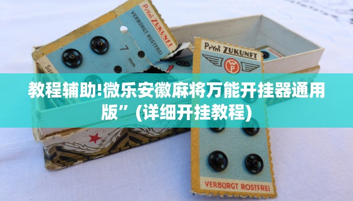 教程辅助!微乐安徽麻将万能开挂器通用版”(详细开挂教程)