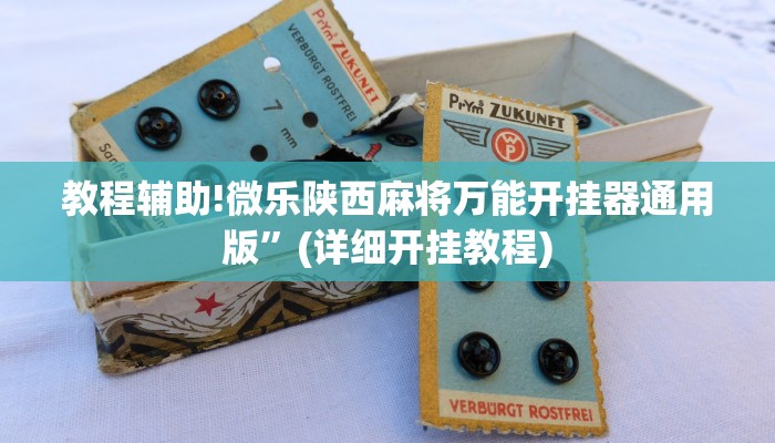 教程辅助!微乐陕西麻将万能开挂器通用版”(详细开挂教程)