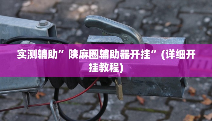 实测辅助”陕麻圈辅助器开挂”(详细开挂教程)