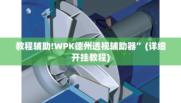 教程辅助!WPK德州透视辅助器”(详细开挂教程)