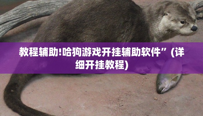 教程辅助!哈狗游戏开挂辅助软件”(详细开挂教程)