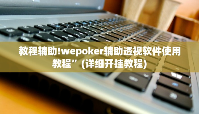 教程辅助!wepoker辅助透视软件使用教程”(详细开挂教程)