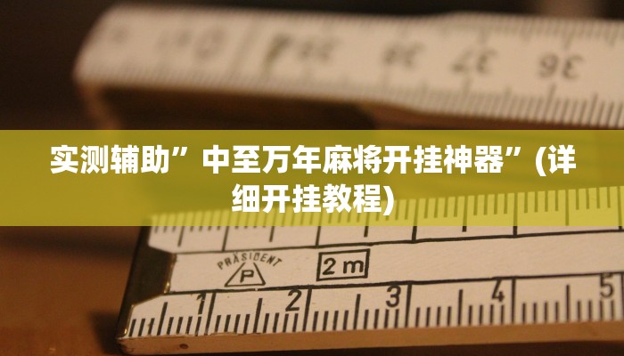 实测辅助”中至万年麻将开挂神器”(详细开挂教程)