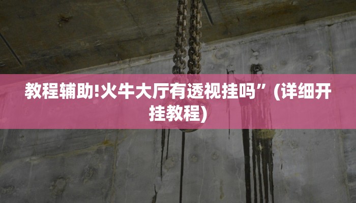 教程辅助!火牛大厅有透视挂吗”(详细开挂教程)