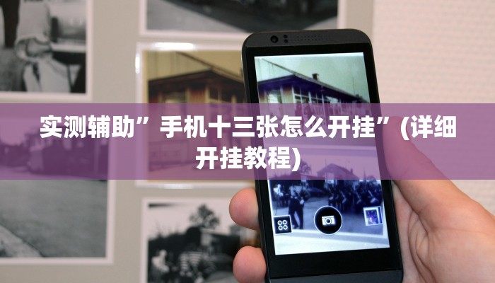 实测辅助”手机十三张怎么开挂”(详细开挂教程)