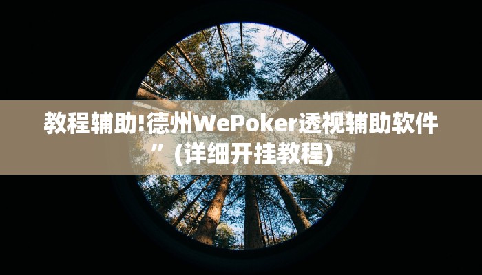 教程辅助!德州WePoker透视辅助软件”(详细开挂教程)