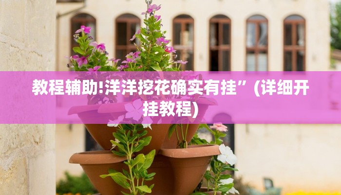教程辅助!洋洋挖花确实有挂”(详细开挂教程)