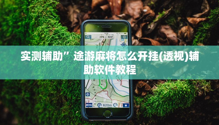 实测辅助”途游麻将怎么开挂(透视)辅助软件教程