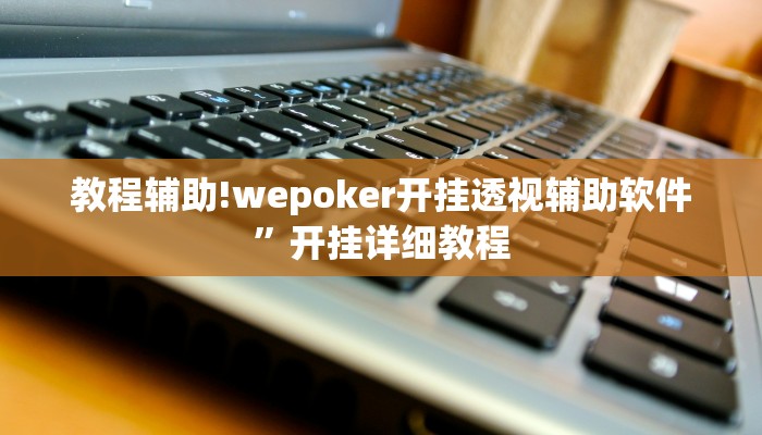 教程辅助!wepoker开挂透视辅助软件”开挂详细教程