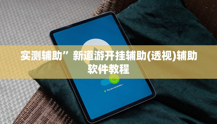 实测辅助”新道游开挂辅助(透视)辅助软件教程