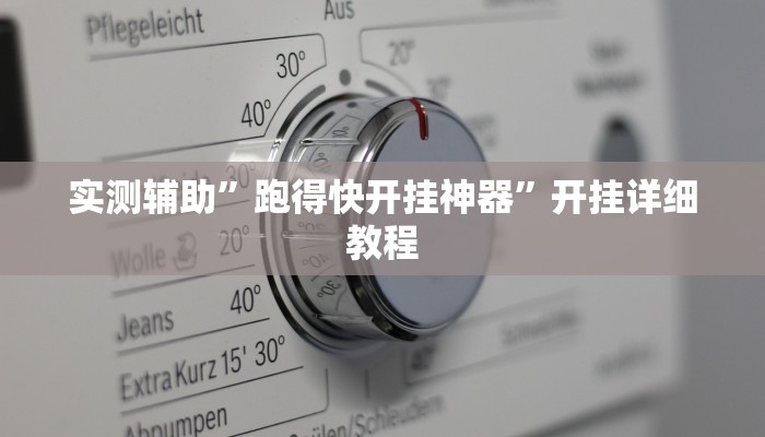 实测辅助”跑得快开挂神器”开挂详细教程