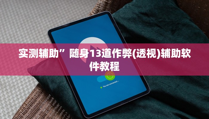 实测辅助”随身13道作弊(透视)辅助软件教程