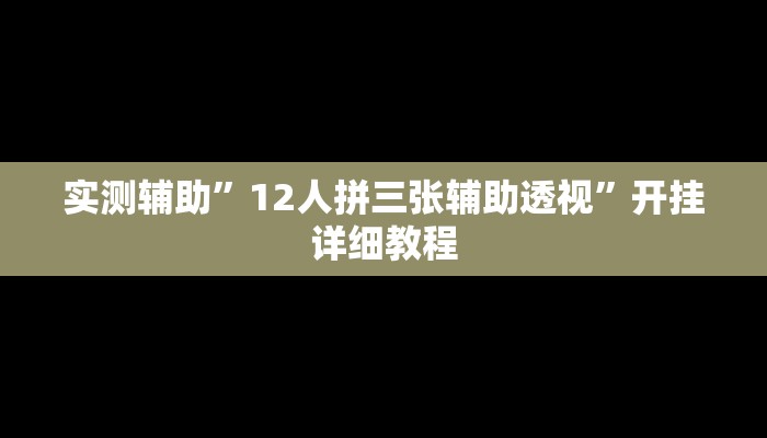 实测辅助”12人拼三张辅助透视”开挂详细教程