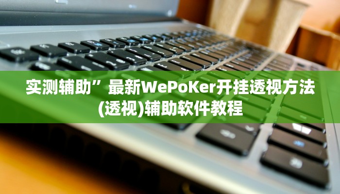 实测辅助”最新WePoKer开挂透视方法(透视)辅助软件教程