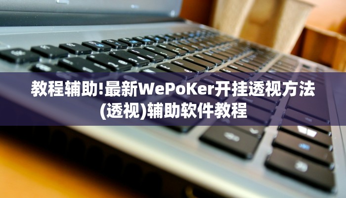 教程辅助!最新WePoKer开挂透视方法(透视)辅助软件教程