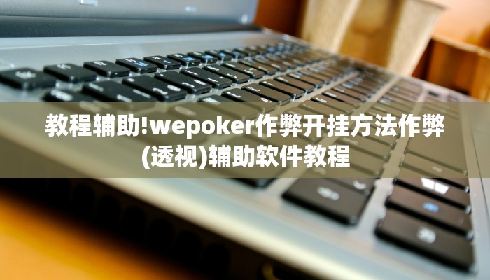 教程辅助!Winner透视挂作弊辅助方法(透视)辅助软件教程